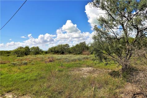0000 County Road 3067 & Cr 2200 Taft TX 78390