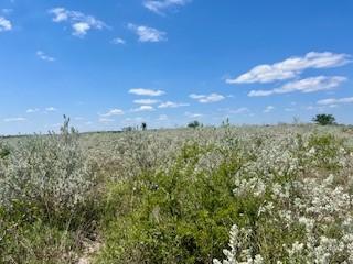 391 Hidden Creek Orange Grove TX 78372