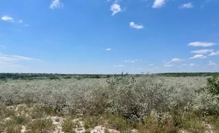 391 Hidden Creek Orange Grove TX 78372