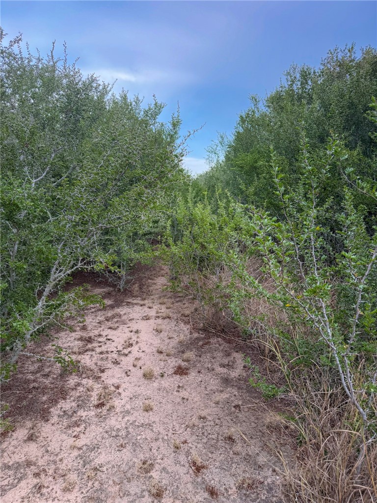 03 Cr 147 George West TX 78022