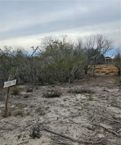 1828 Fm 534 George West TX 78368