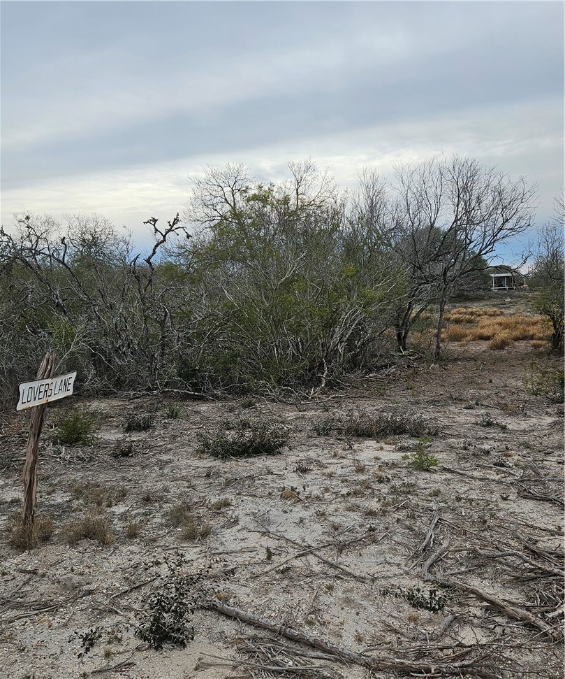 1828 Fm 534 George West TX 78368