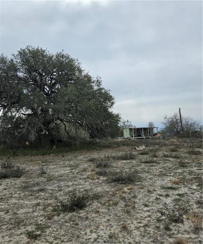 1828 Fm 534 George West TX 78368