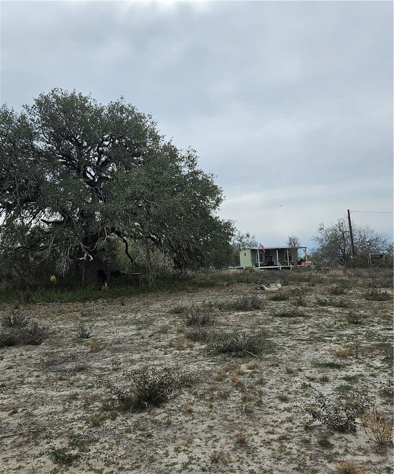 1828 Fm 534 George West TX 78368