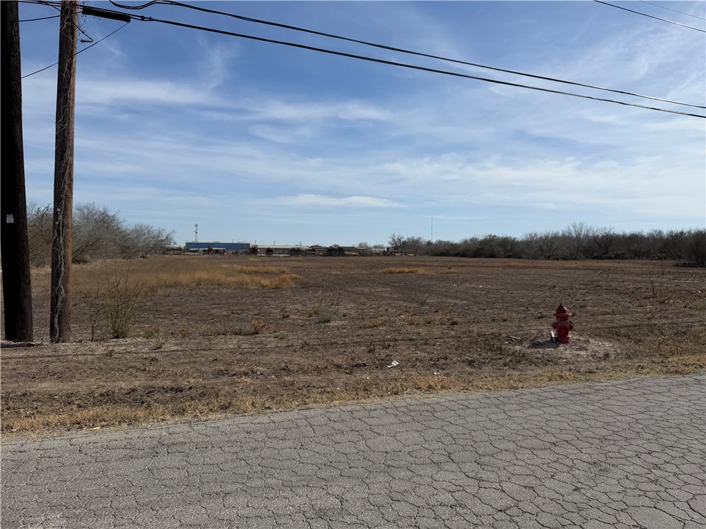 0 Burleson Street George West TX 78022