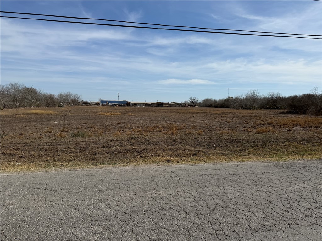 0 Burleson Street George West TX 78022