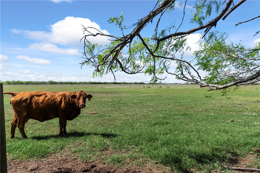 00 E County Road 2140 Kingsville TX 78363
