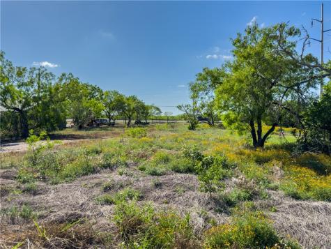 0 Highway 359 Highway Orange Grove TX 78372