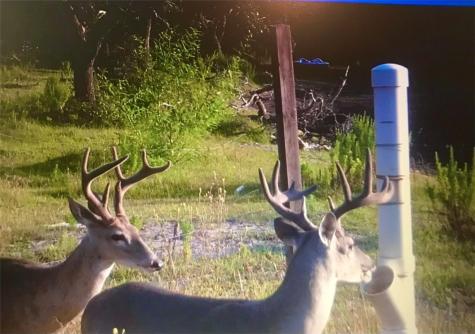 2301-2401 Fm 2165 Rockport TX 78382