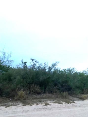 7039 Cr 205--22.22 Acres(+/-) San Diego TX 78384