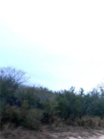 7039 Cr 205--22.22 Acres(+/-) San Diego TX 78384