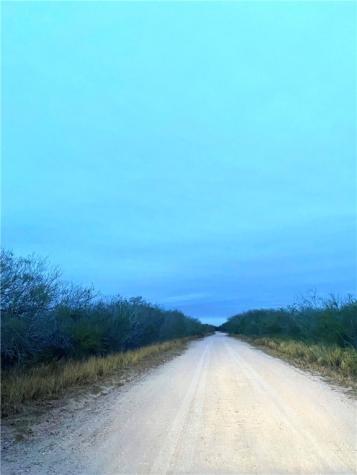 7039 Cr 205--22.22 Acres(+/-) San Diego TX 78384