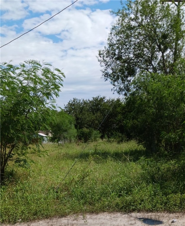 612 N South Street Mathis TX 78368