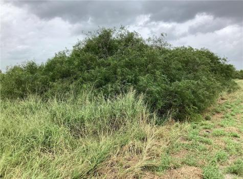 0000 Cty Road 1140 Riviera TX 78379