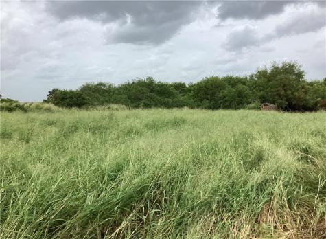 0000 Cty Road 1140 Riviera TX 78379