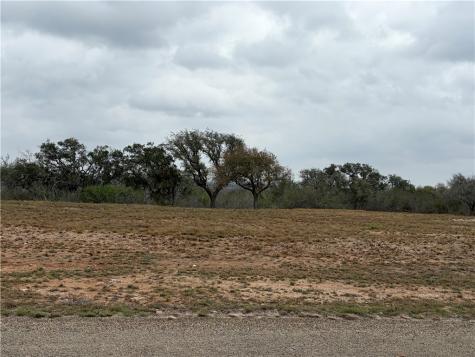 0 Vista Fina Dagger Loop #4 Sandia TX 78383