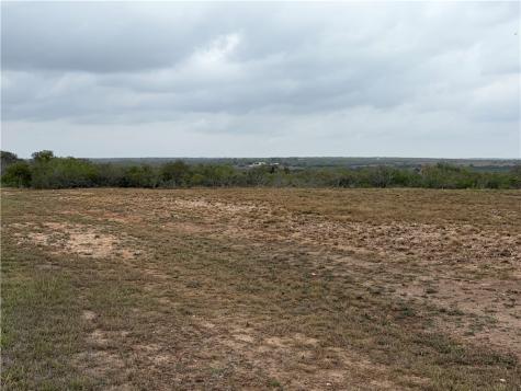 0 Vista Fina Dagger Loop #4 Sandia TX 78383