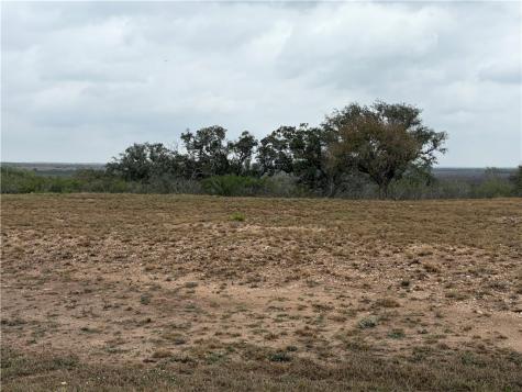 0 Vista Fina Dagger Loop #4 Sandia TX 78383