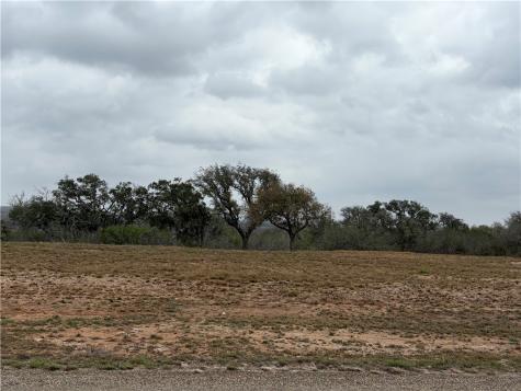 0 Vista Fina Dagger Loop #4 Sandia TX 78383