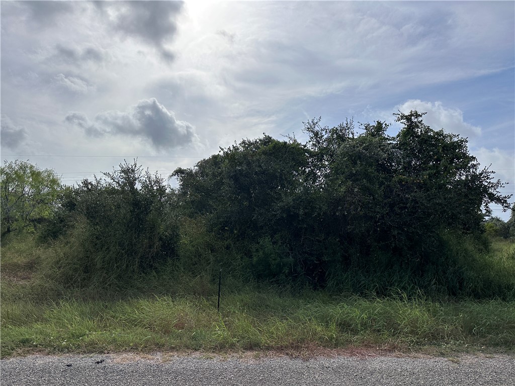 159 Dolphin Drive Rockport TX 78382