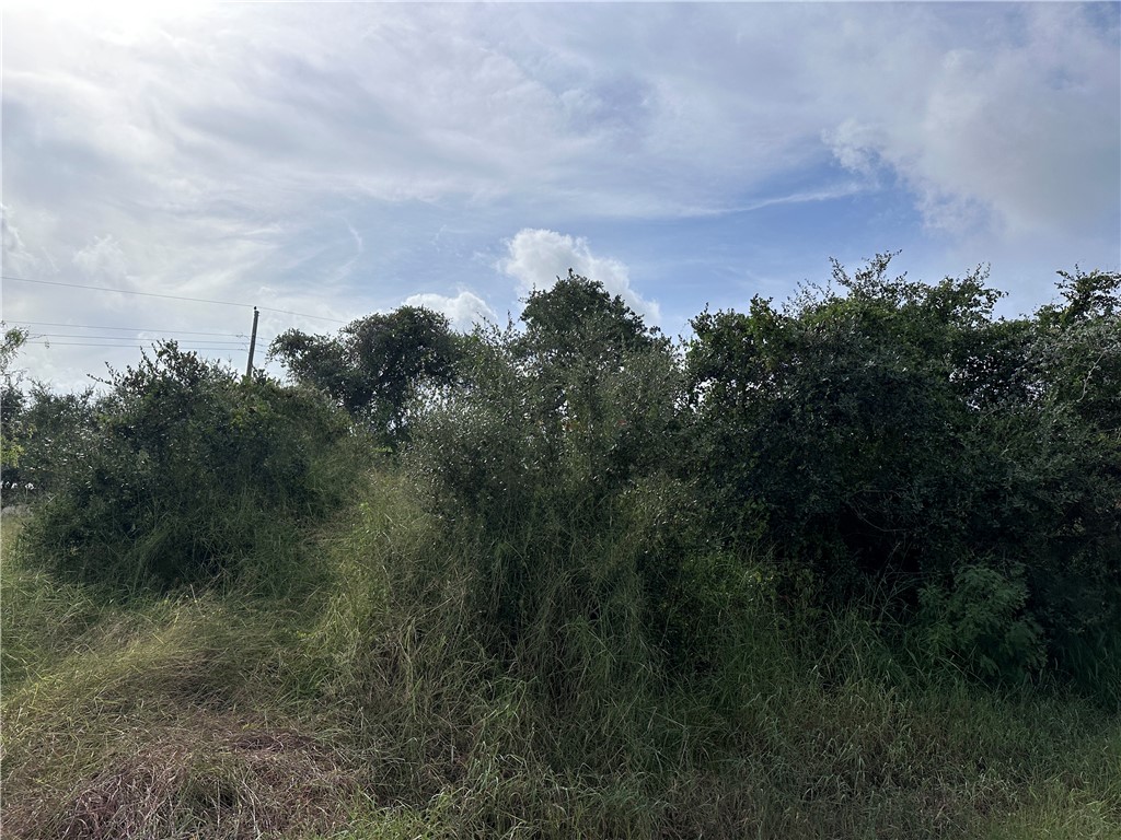 159 Dolphin Drive Rockport TX 78382