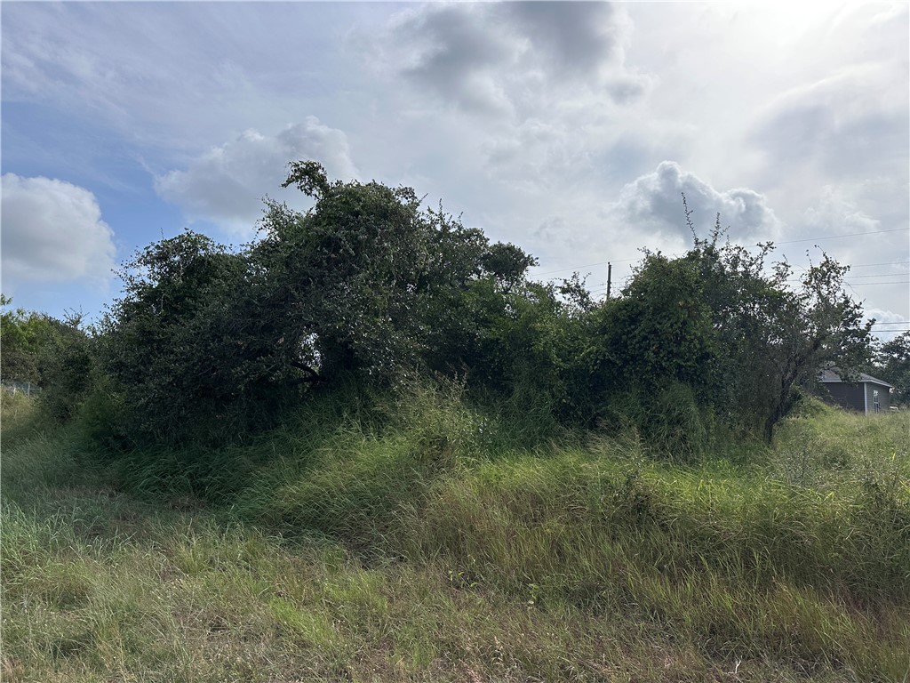 159 Dolphin Drive Rockport TX 78382