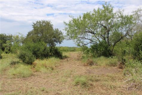00 Lot 2 Vista Fina Drive Sandia TX 78383