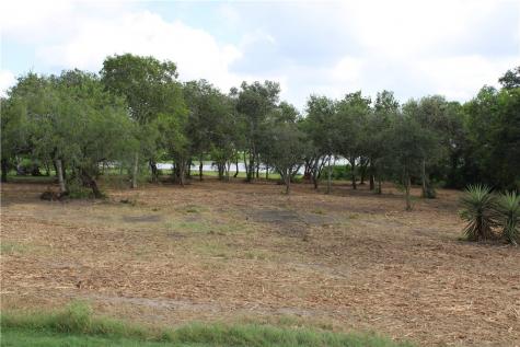 00 Lot 2 Vista Fina Drive Sandia TX 78383