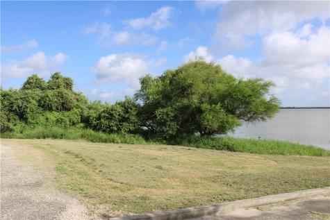 00 Lot 2 Vista Fina Drive Sandia TX 78383