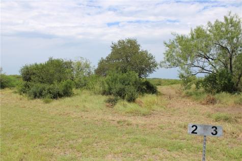 00 Lot 2 Vista Fina Drive Sandia TX 78383