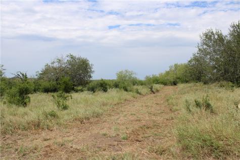 00 Lot 2 Vista Fina Drive Sandia TX 78383