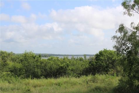 00 Lot 2 Vista Fina Drive Sandia TX 78383
