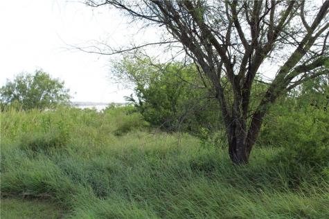 00 Lot 2 Vista Fina Drive Sandia TX 78383