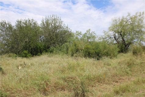 00 Lot 2 Vista Fina Drive Sandia TX 78383