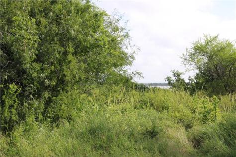 00 Lot 2 Vista Fina Drive Sandia TX 78383