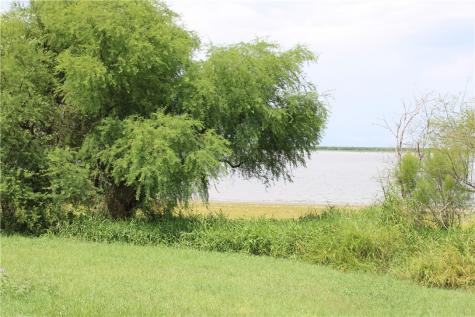 00 Lot 2 Vista Fina Drive Sandia TX 78383