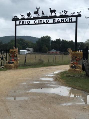 40 Whitetail Run Uvalde TX 78801