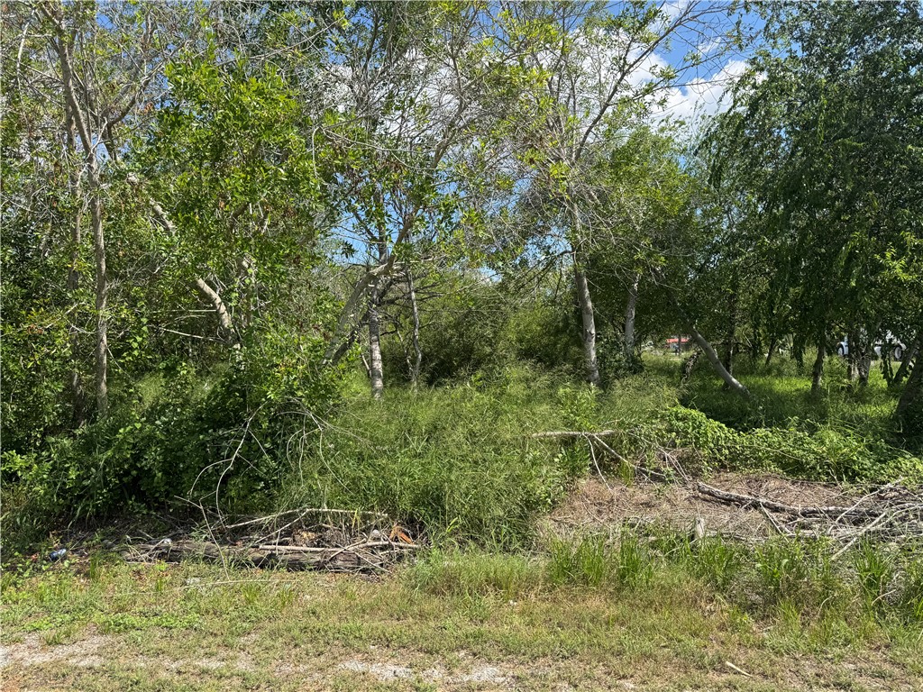 543 W Verbina Street Taft TX 78390