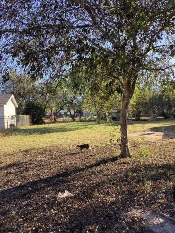 430 Virginia Street Alice TX 78332