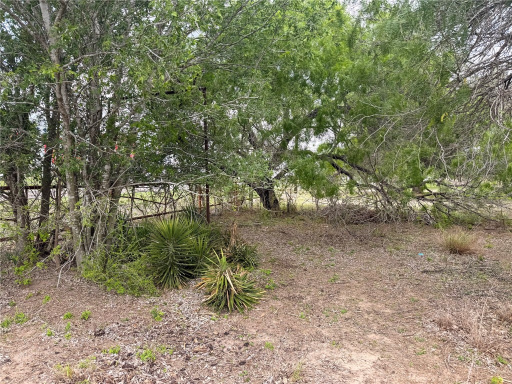 3250 Highway 281 George West TX 78022