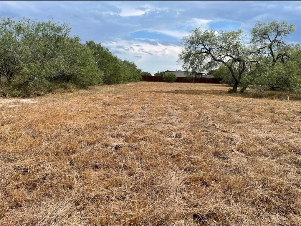 Lot 12 Fm 3376 (Deer Meadow Est) Alice TX 78332