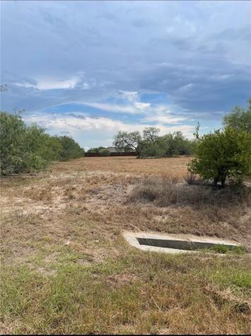 Lot 12 Fm 3376 (Deer Meadow Est) Alice TX 78332