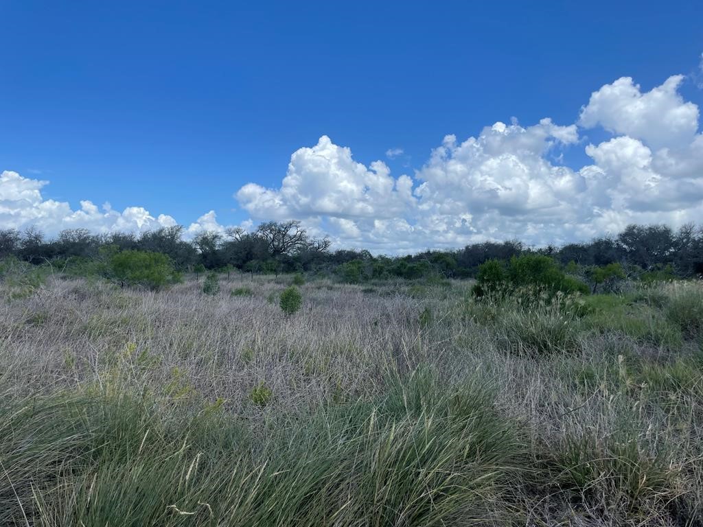 6051 Hwy 35 N Rockport TX 78382