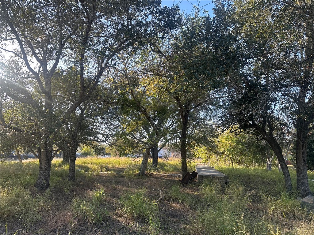313 Burton Woodsboro TX 78393