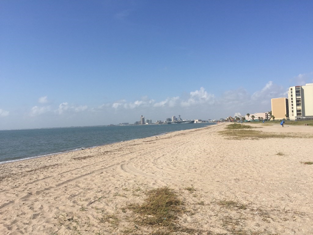 4421 N Shoreline Boulevard Corpus Christi TX 78402