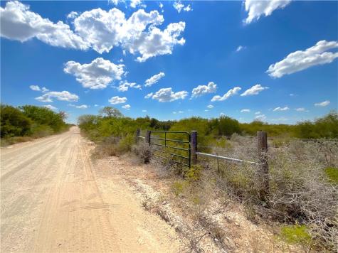 01 Cr 173 San Diego TX 78384