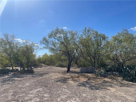 10 Acres Cr 421 Christine TX 78012