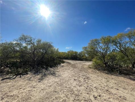 10 Acres Cr 421 Christine TX 78012