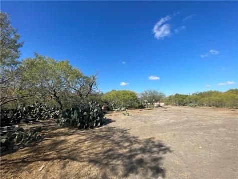 10 Acres Cr 421 Christine TX 78012