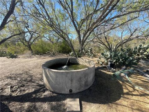 10 Acres Cr 421 Christine TX 78012